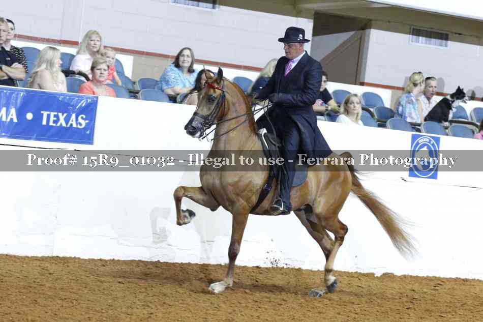 Proof 15R9_01032