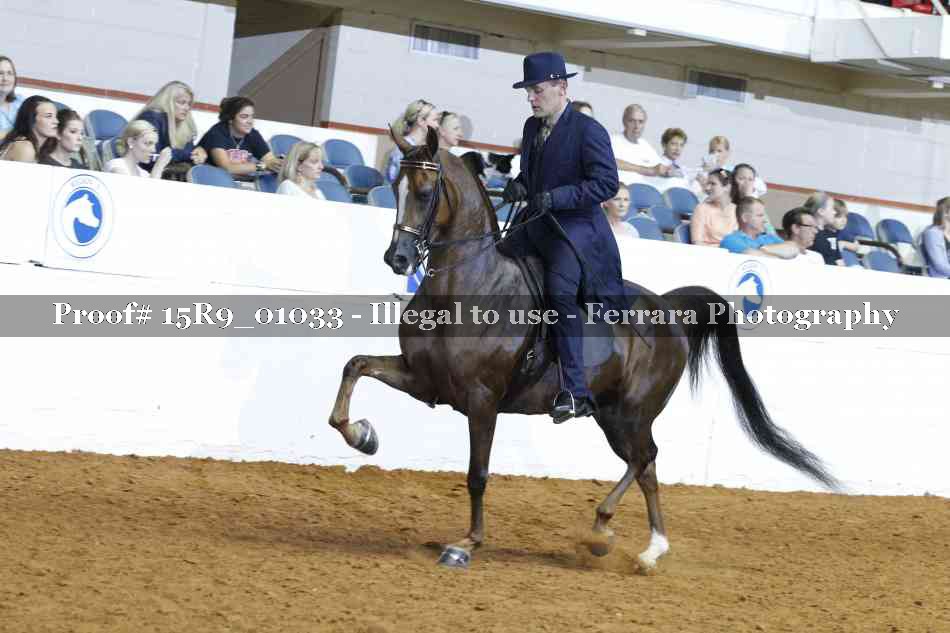 Proof 15R9_01033