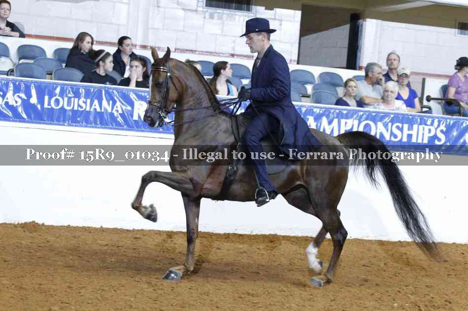 Proof 15R9_01034