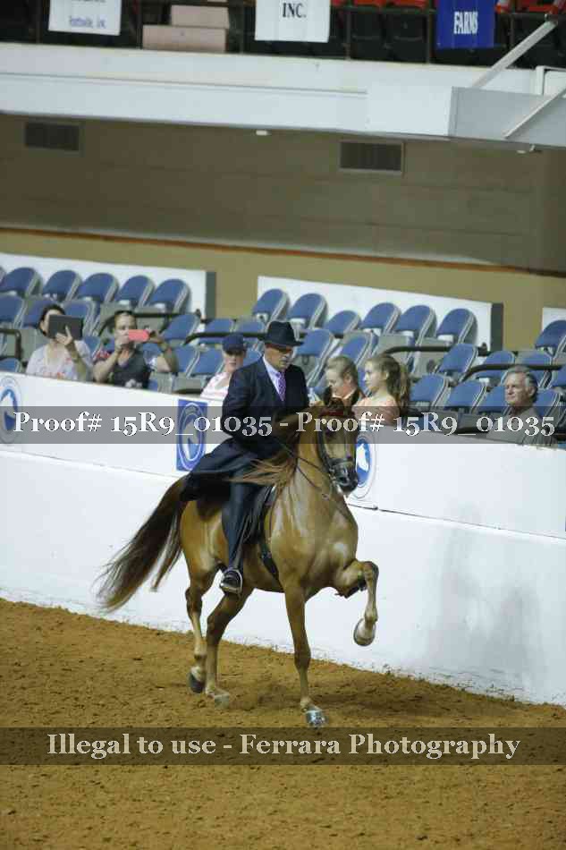 Proof 15R9_01035
