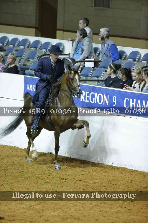 Proof 15R9_01036
