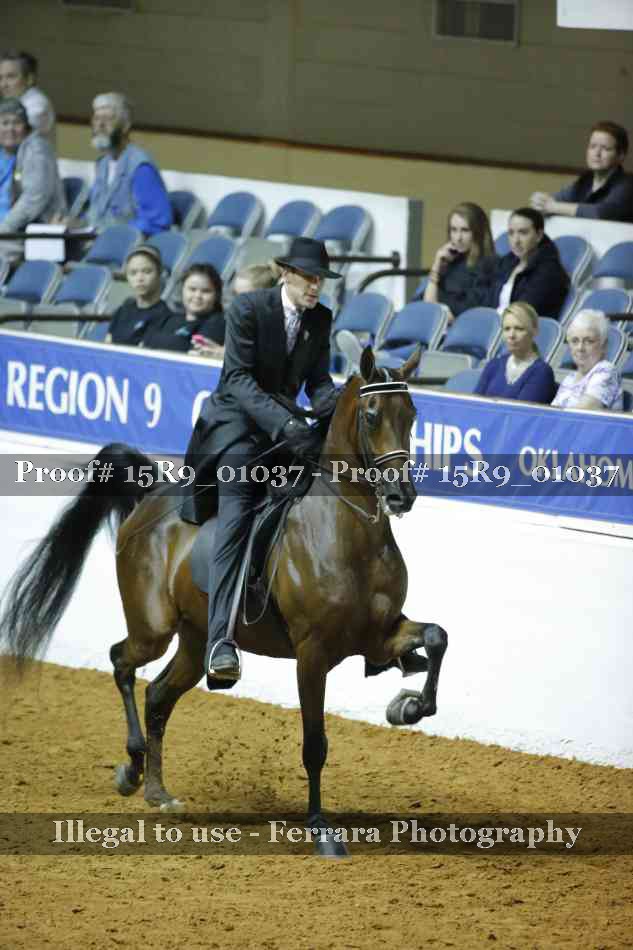 Proof 15R9_01037
