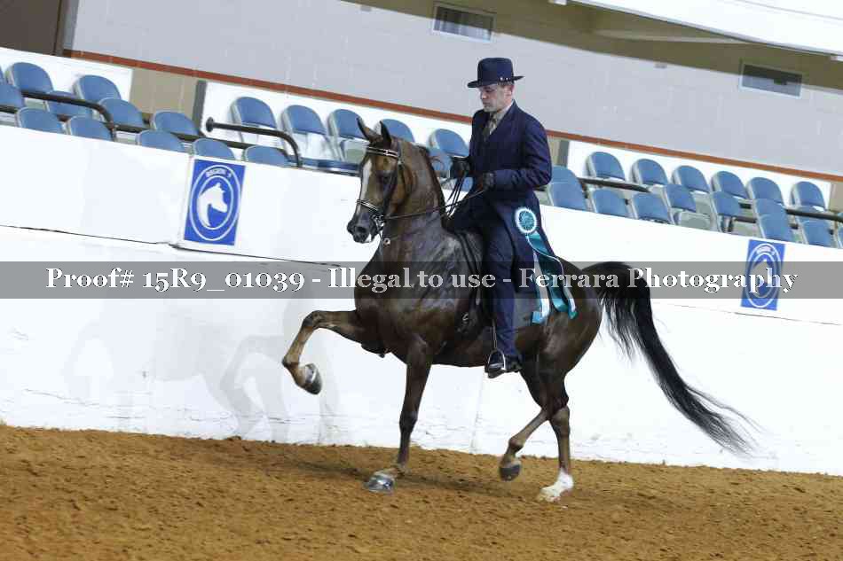 Proof 15R9_01039