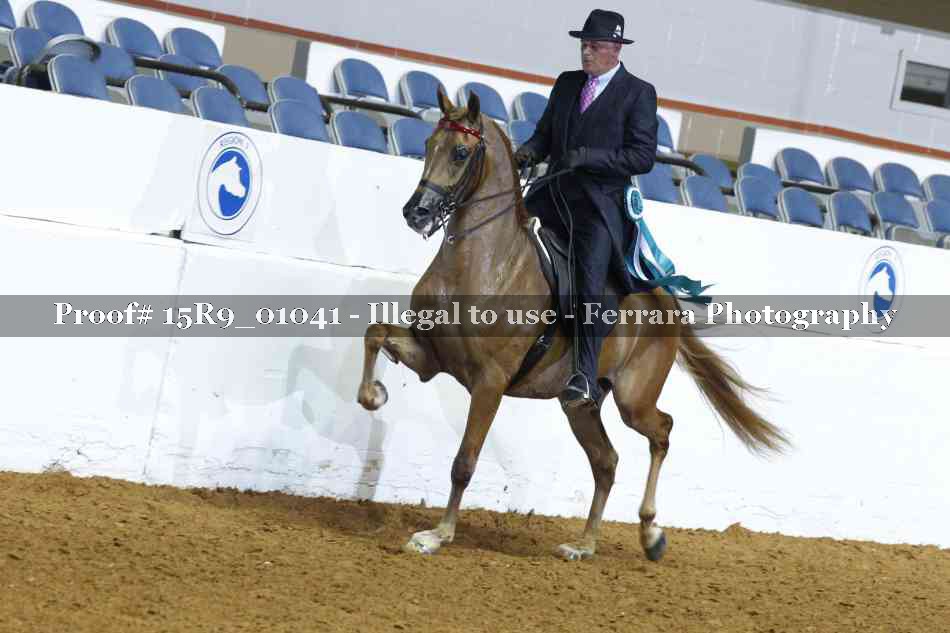 Proof 15R9_01041