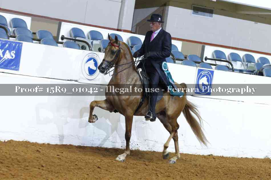 Proof 15R9_01042
