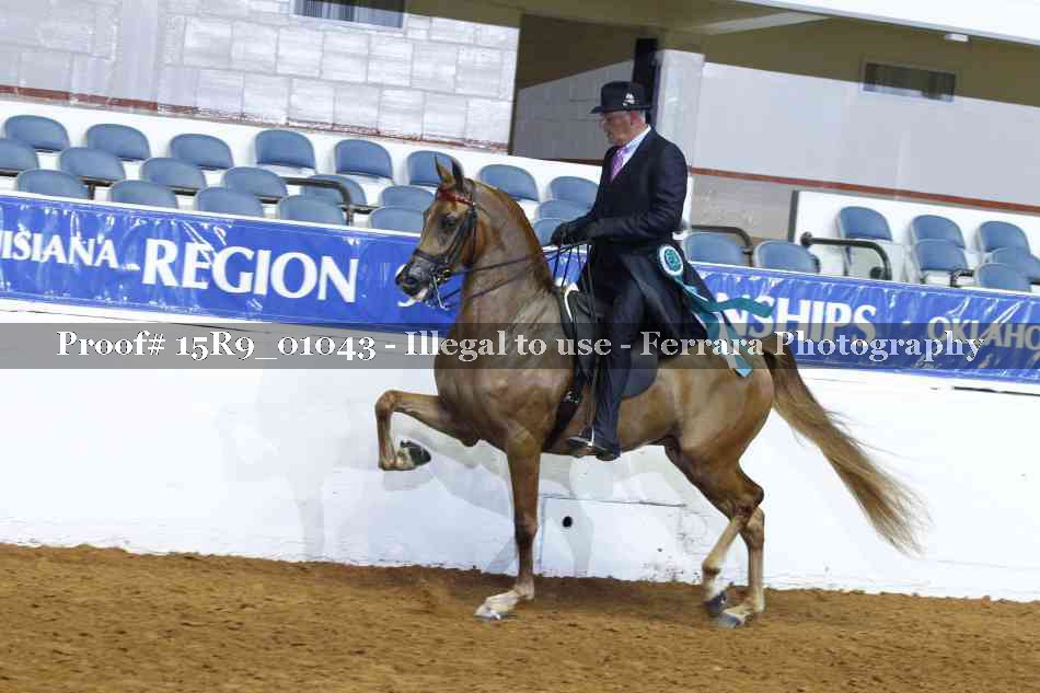 Proof 15R9_01043