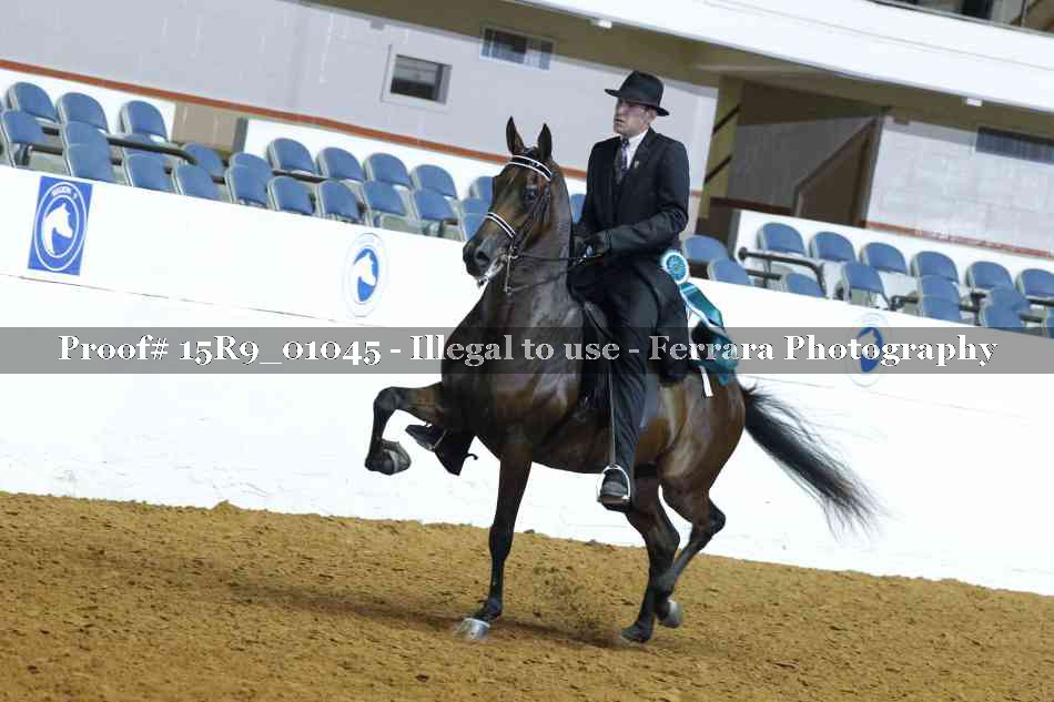 Proof 15R9_01045