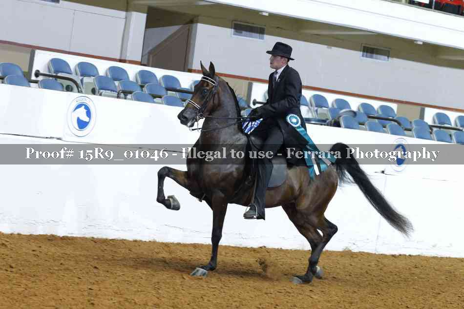 Proof 15R9_01046