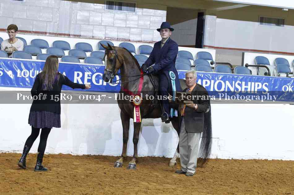 Proof 15R9_01047