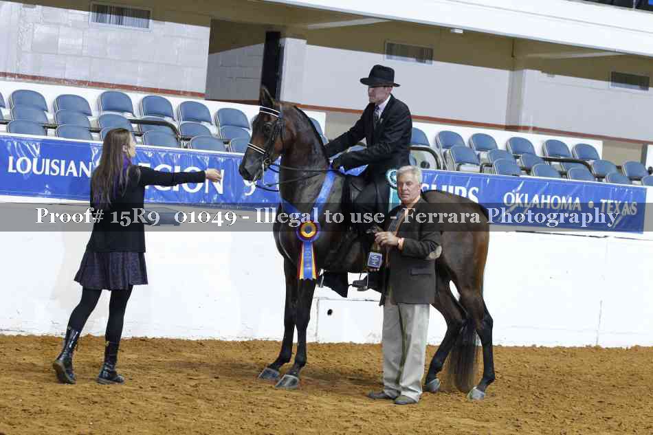 Proof 15R9_01049