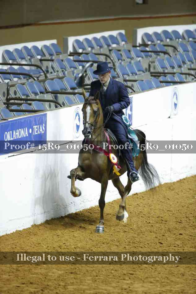 Proof 15R9_01050