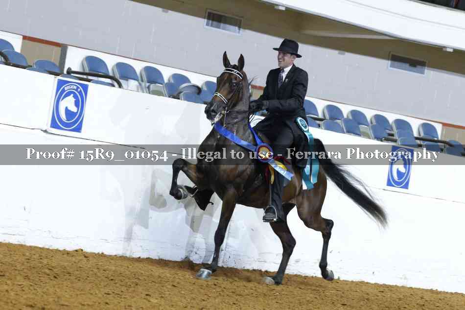 Proof 15R9_01054