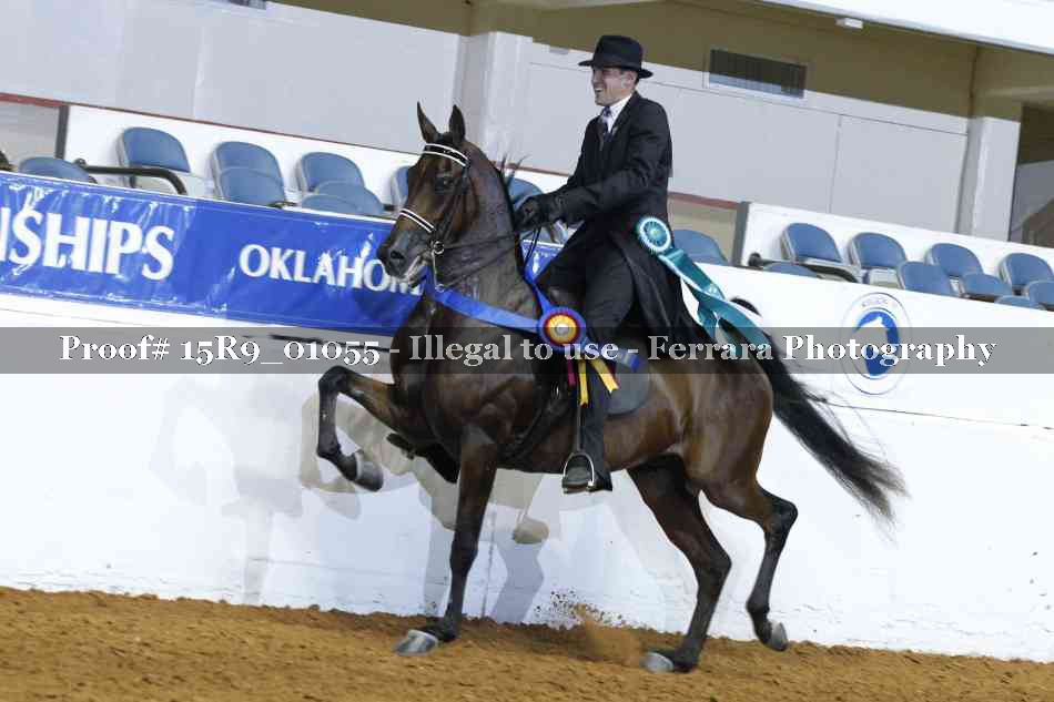 Proof 15R9_01055