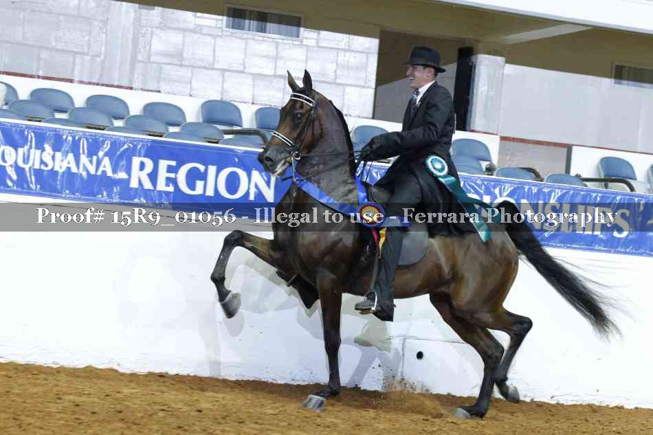 Proof 15R9_01056