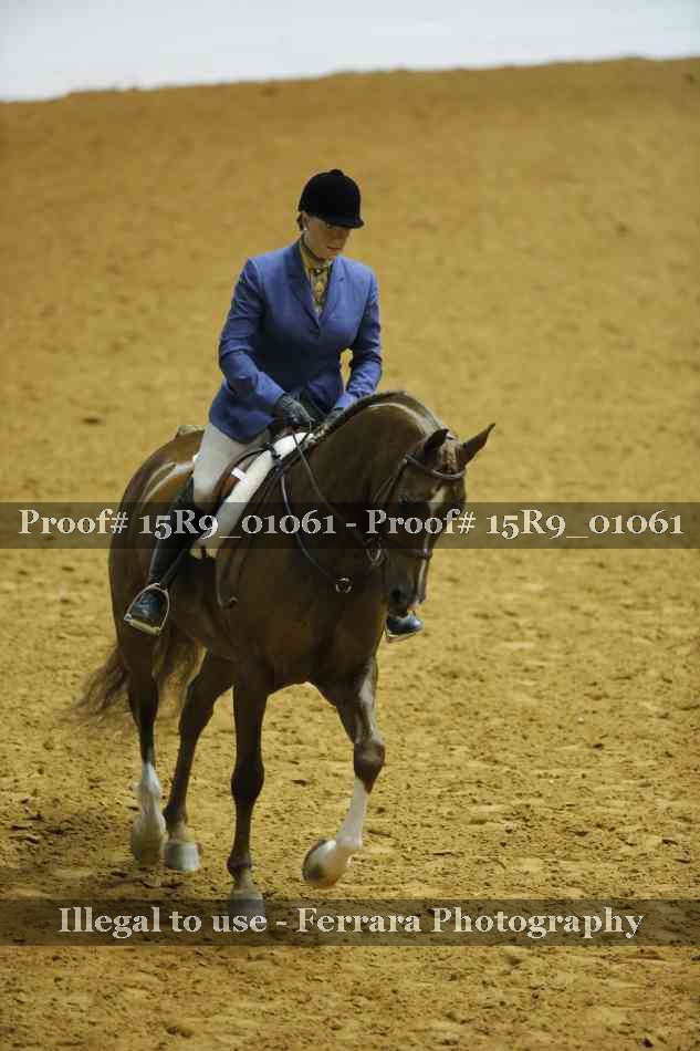 Proof 15R9_01061