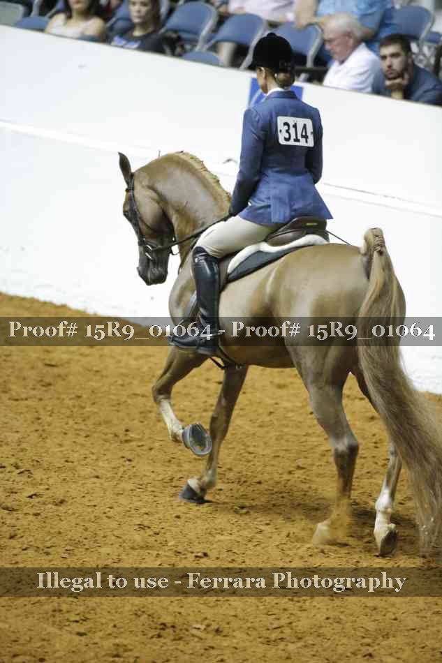 Proof 15R9_01064