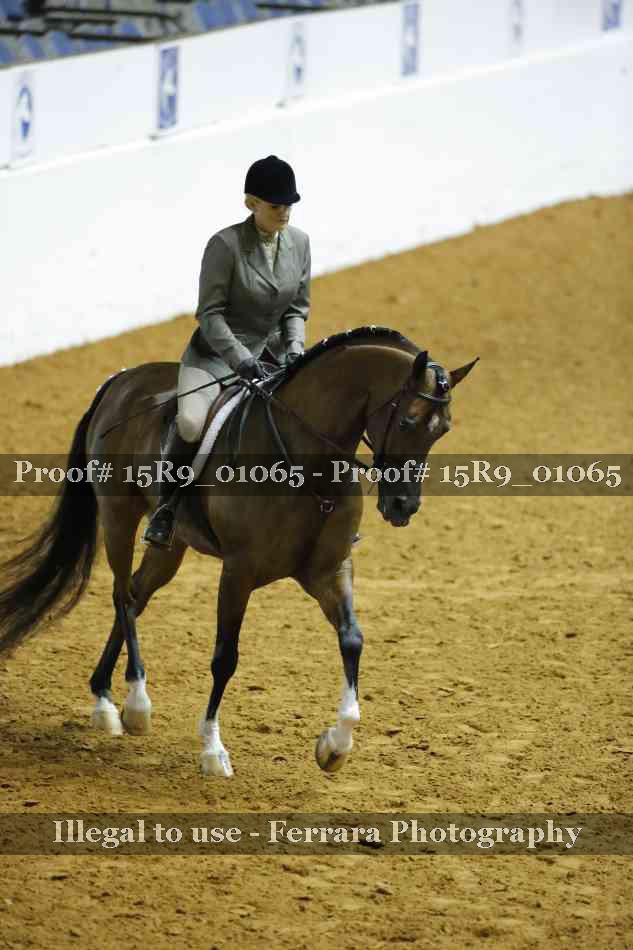Proof 15R9_01065