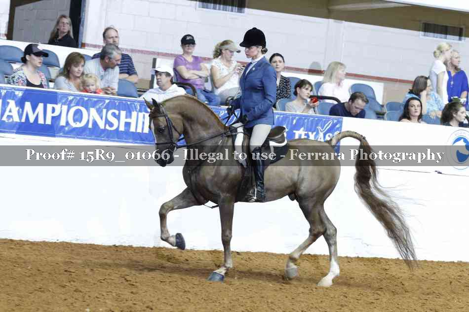 Proof 15R9_01066