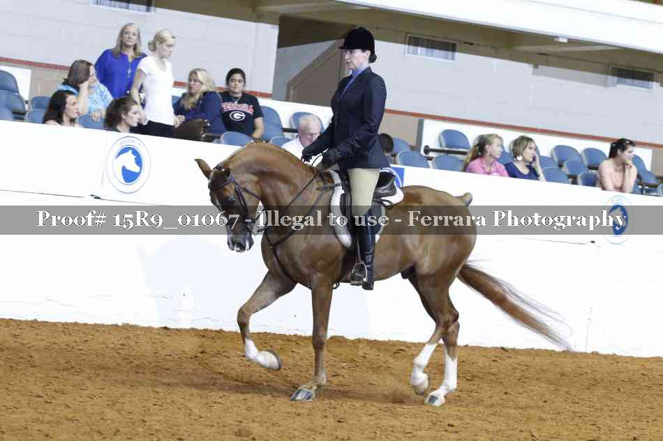 Proof 15R9_01067