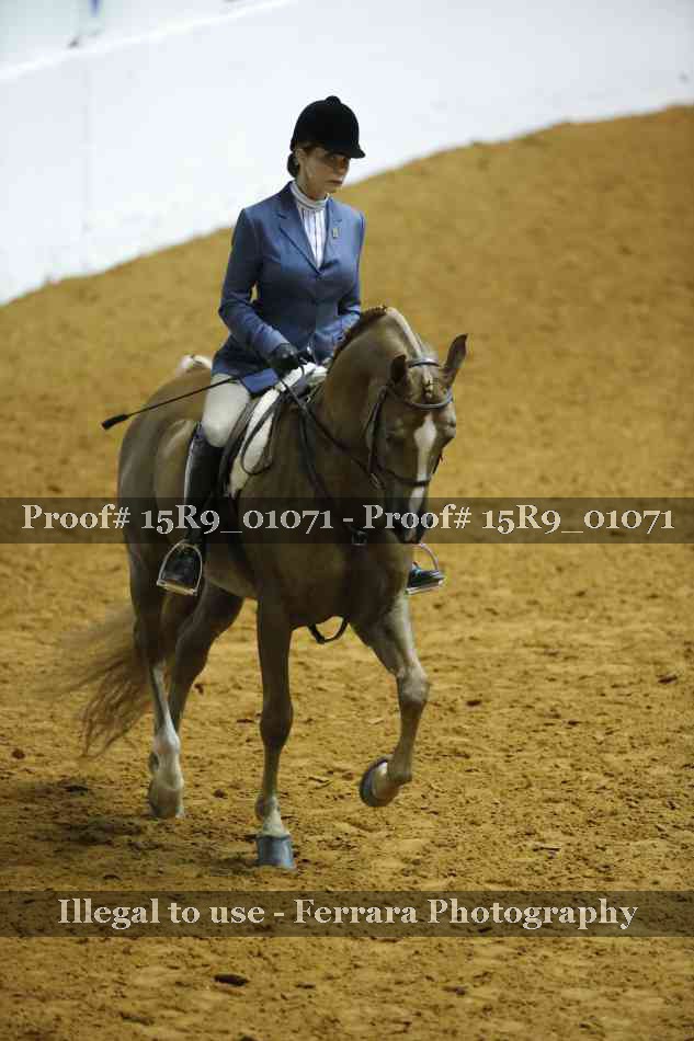 Proof 15R9_01071