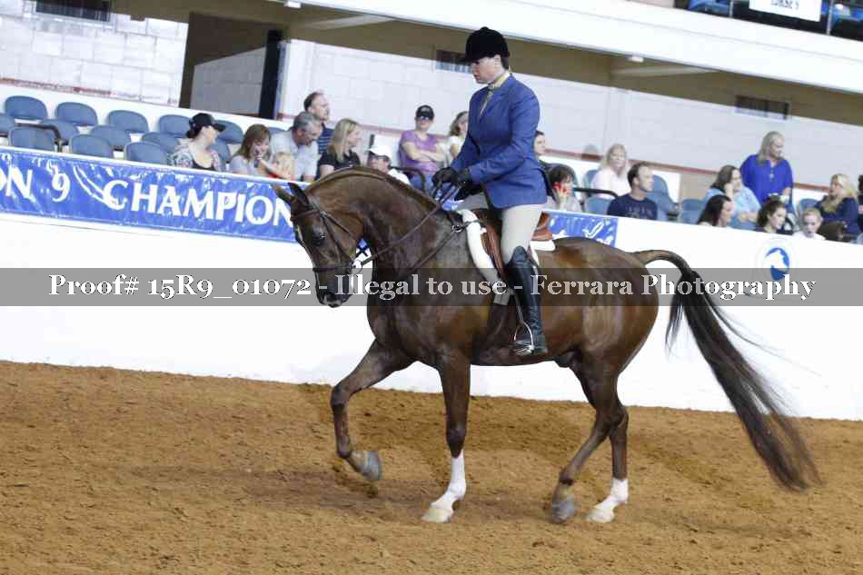 Proof 15R9_01072