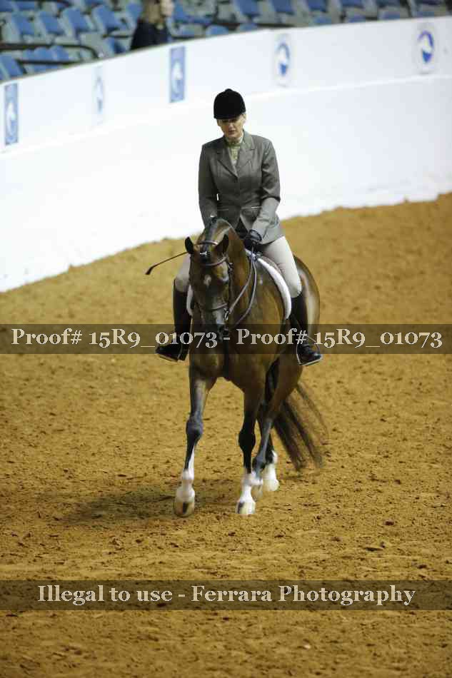 Proof 15R9_01073