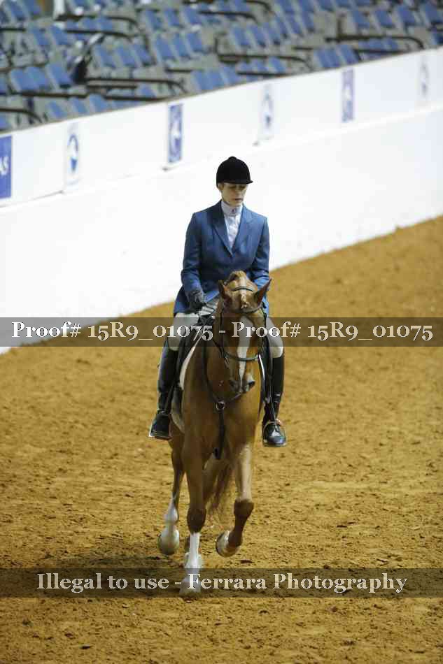 Proof 15R9_01075