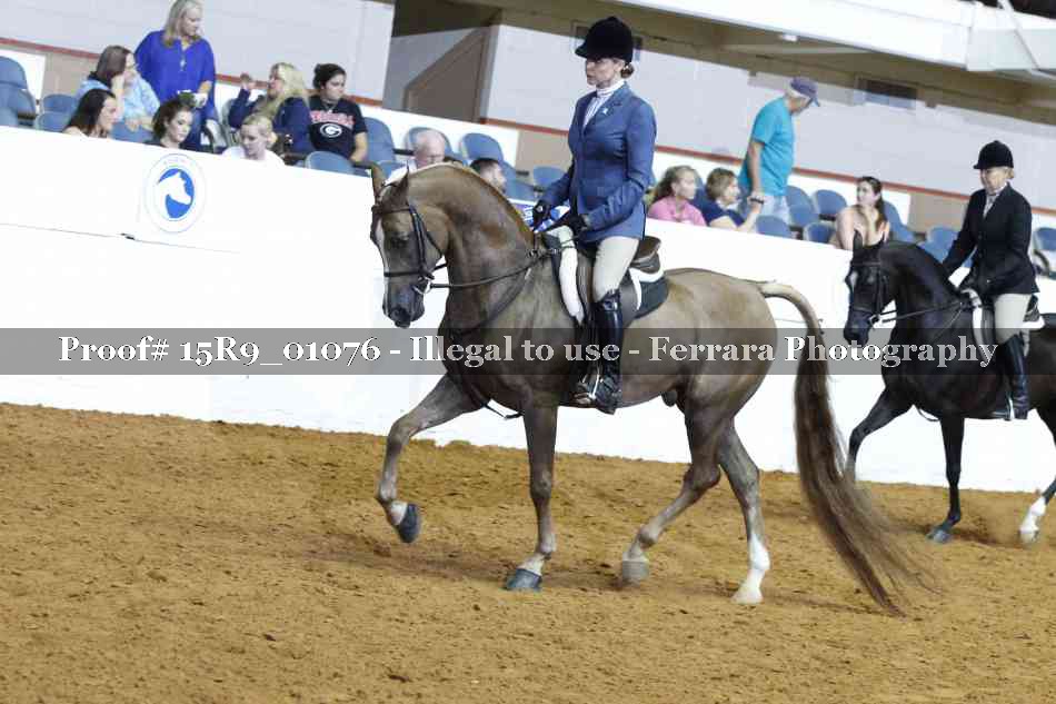 Proof 15R9_01076