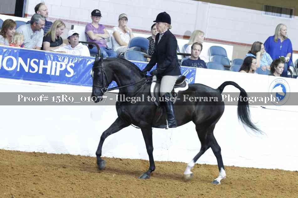 Proof 15R9_01077