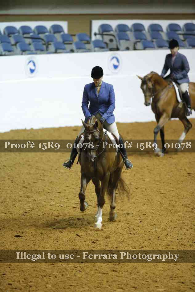 Proof 15R9_01078