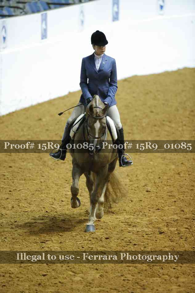 Proof 15R9_01085