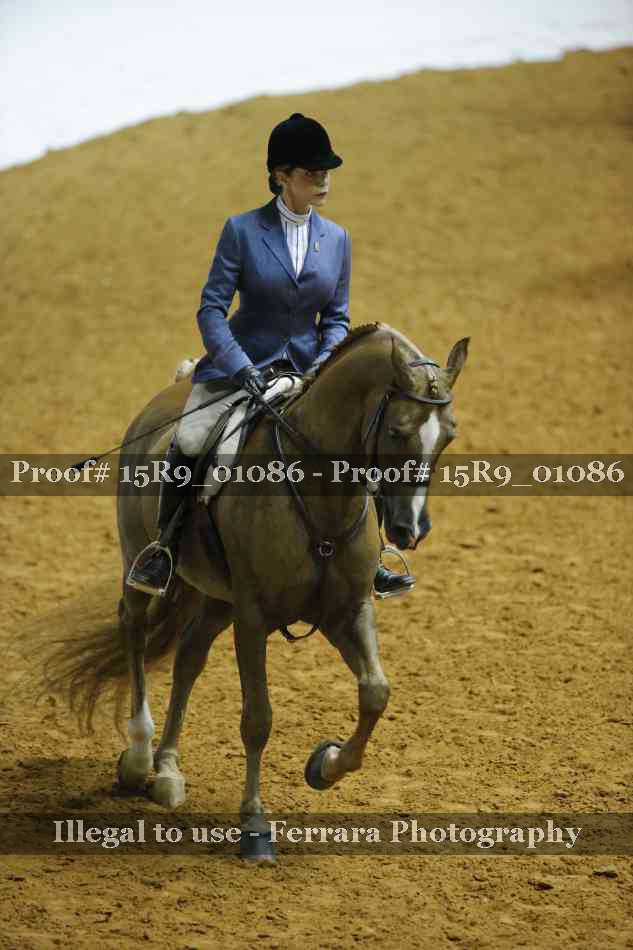 Proof 15R9_01086