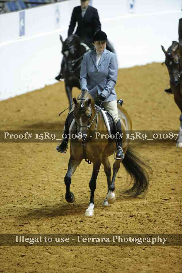 Proof 15R9_01087