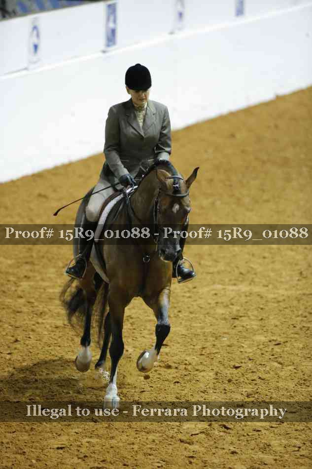 Proof 15R9_01088