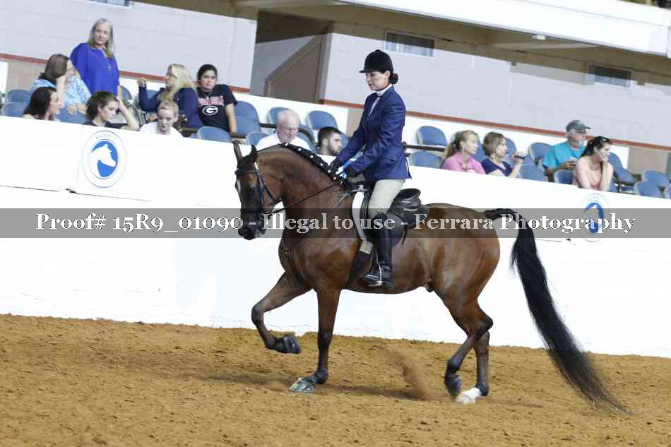 Proof 15R9_01090
