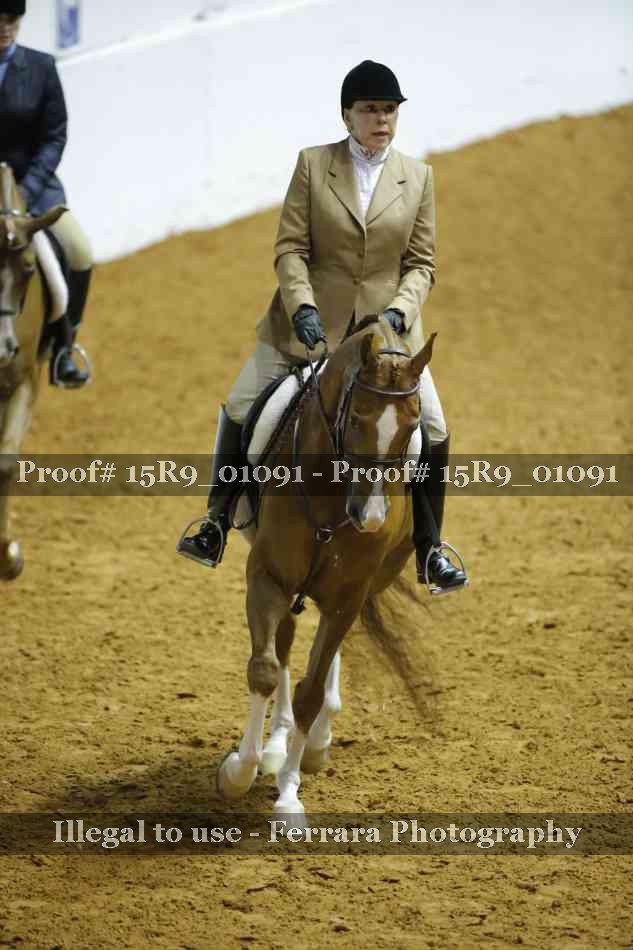 Proof 15R9_01091
