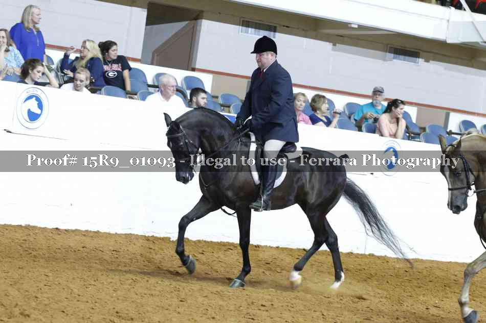 Proof 15R9_01093