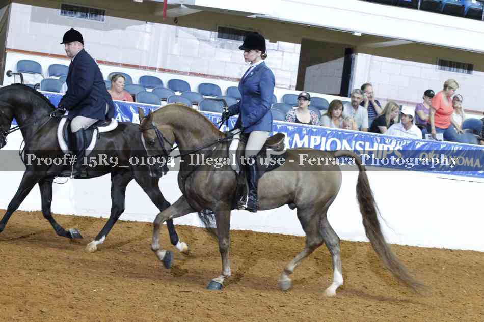 Proof 15R9_01094