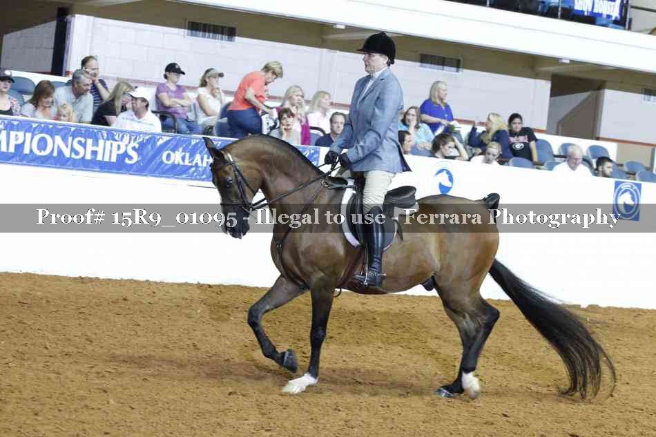 Proof 15R9_01095