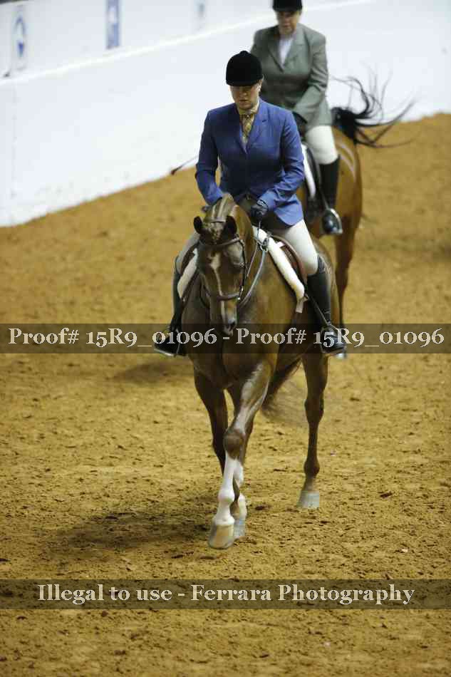 Proof 15R9_01096