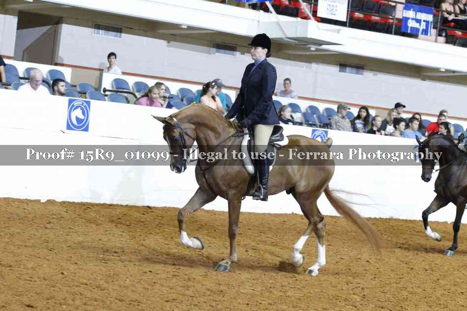 Proof 15R9_01099