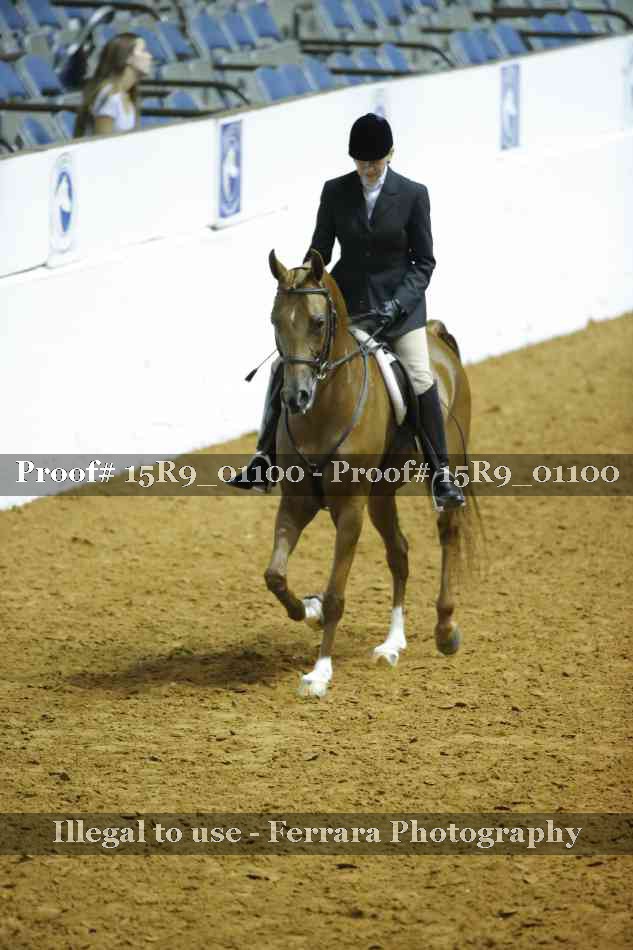 Proof 15R9_01100