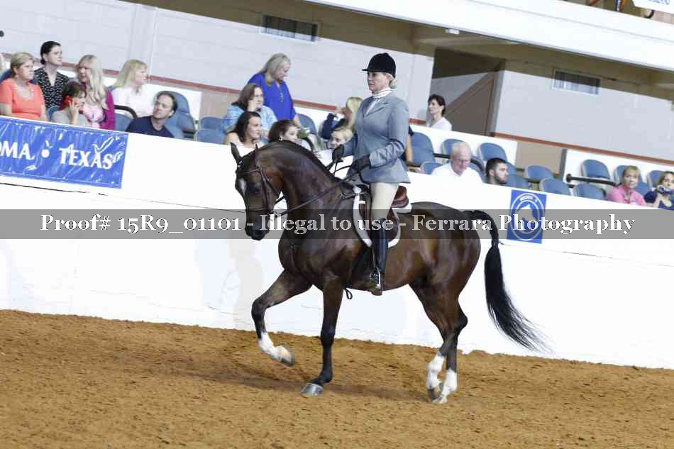Proof 15R9_01101