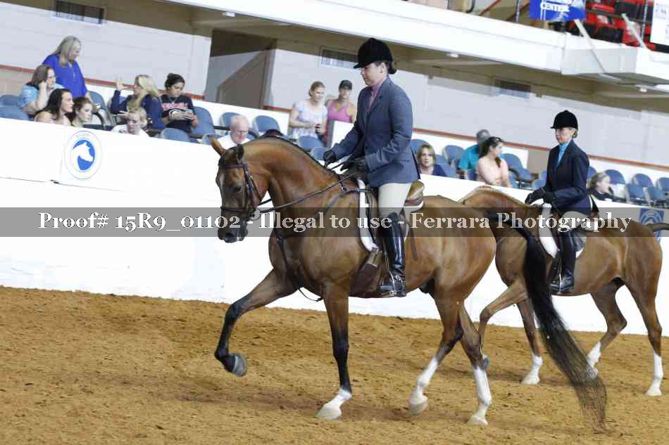 Proof 15R9_01102