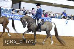 15R9_01107 proof