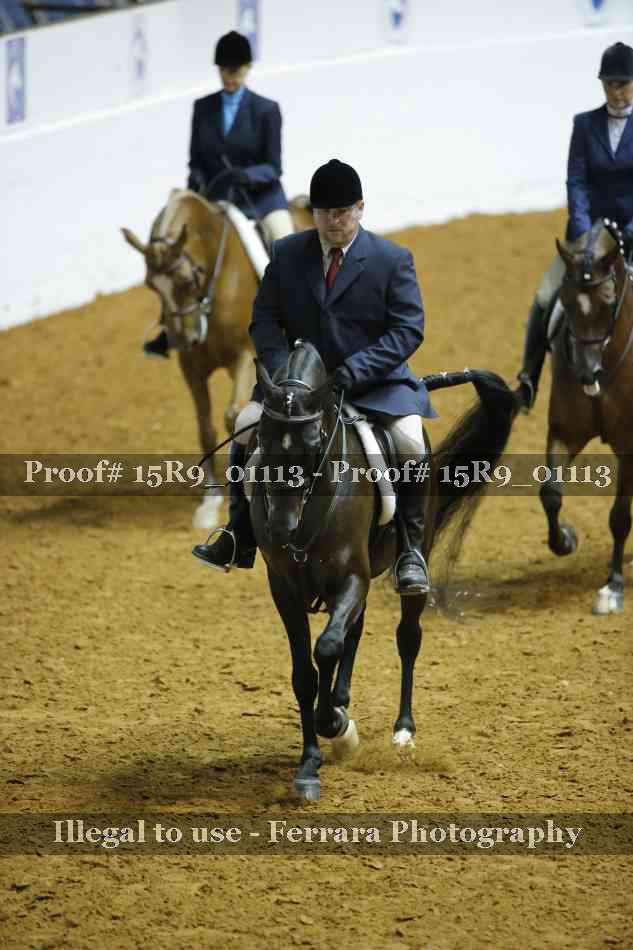 Proof 15R9_01113