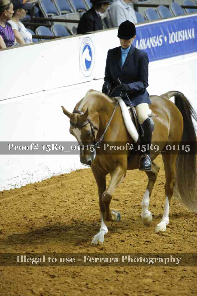 Proof 15R9_01115