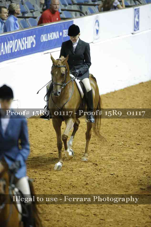 Proof 15R9_01117