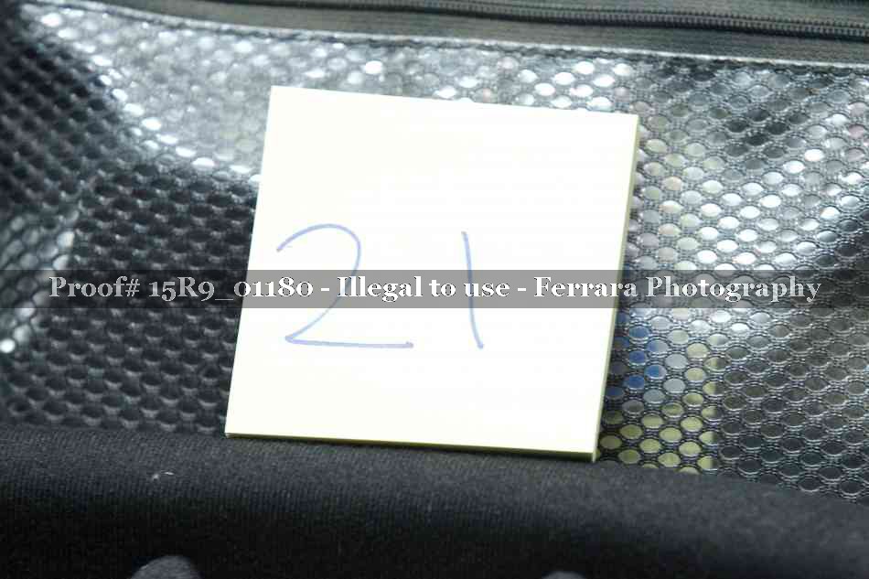 Proof 15R9_01180