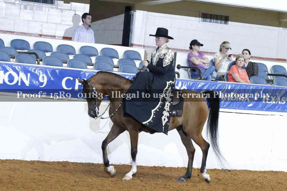 Proof 15R9_01183